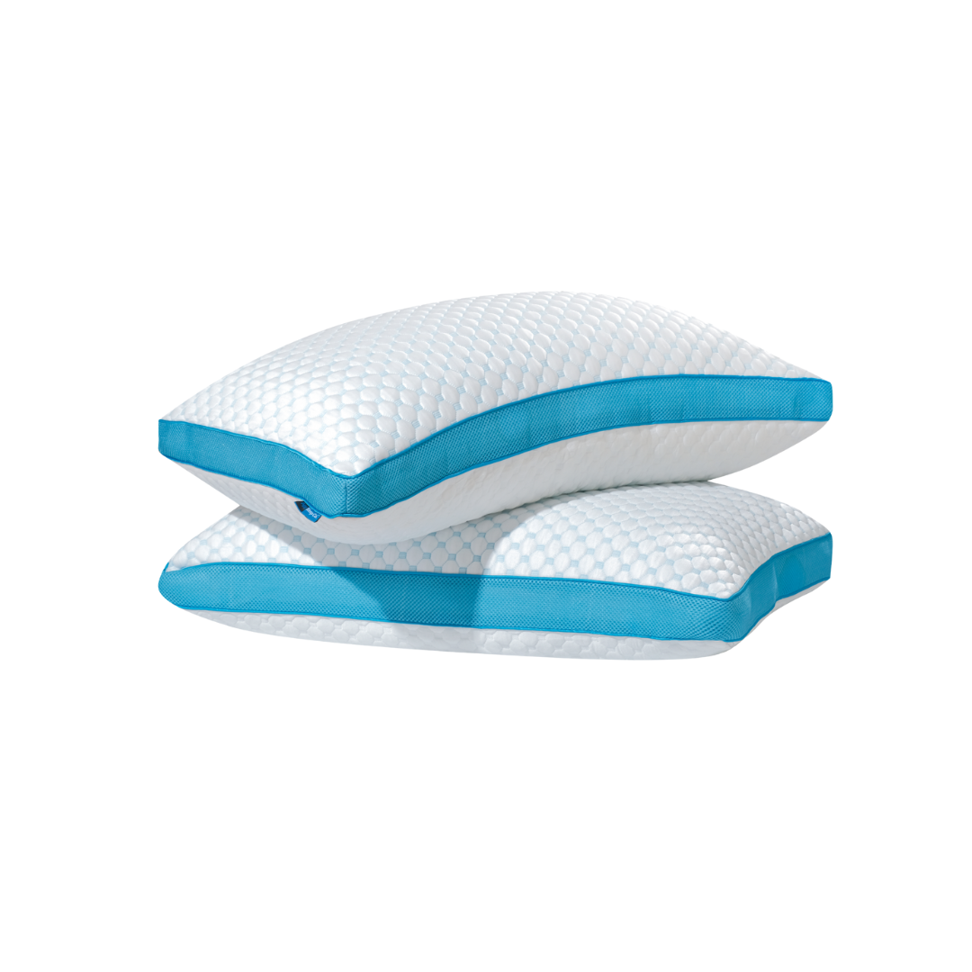 Polar Pillow